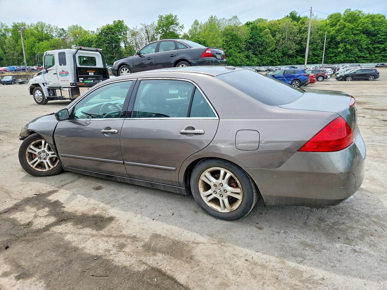 2006 Honda Accord Ex Gray vin: 1HGCM56766A171617