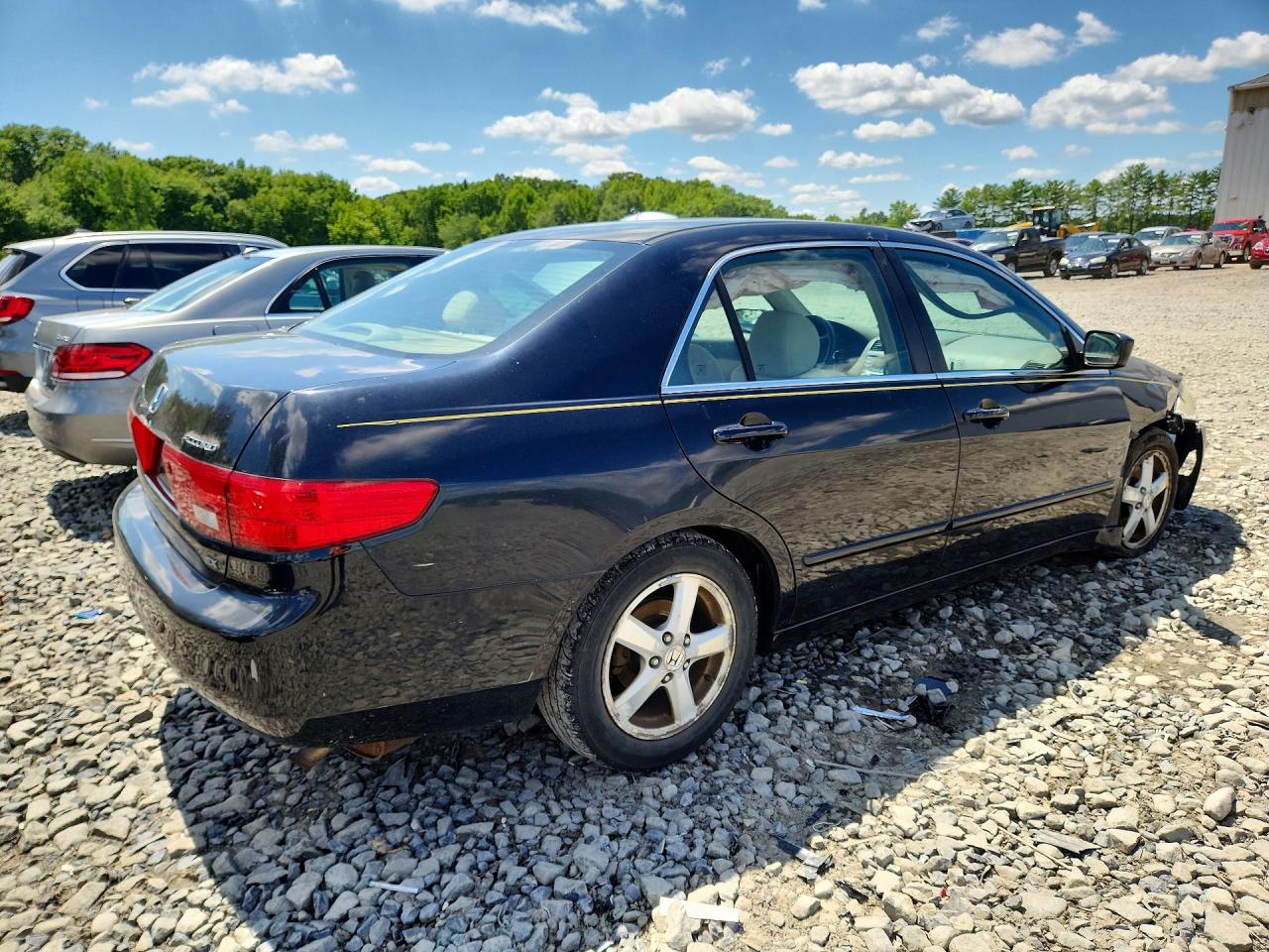 2005 Honda Accord Ex Black vin: 1HGCM56775A031820