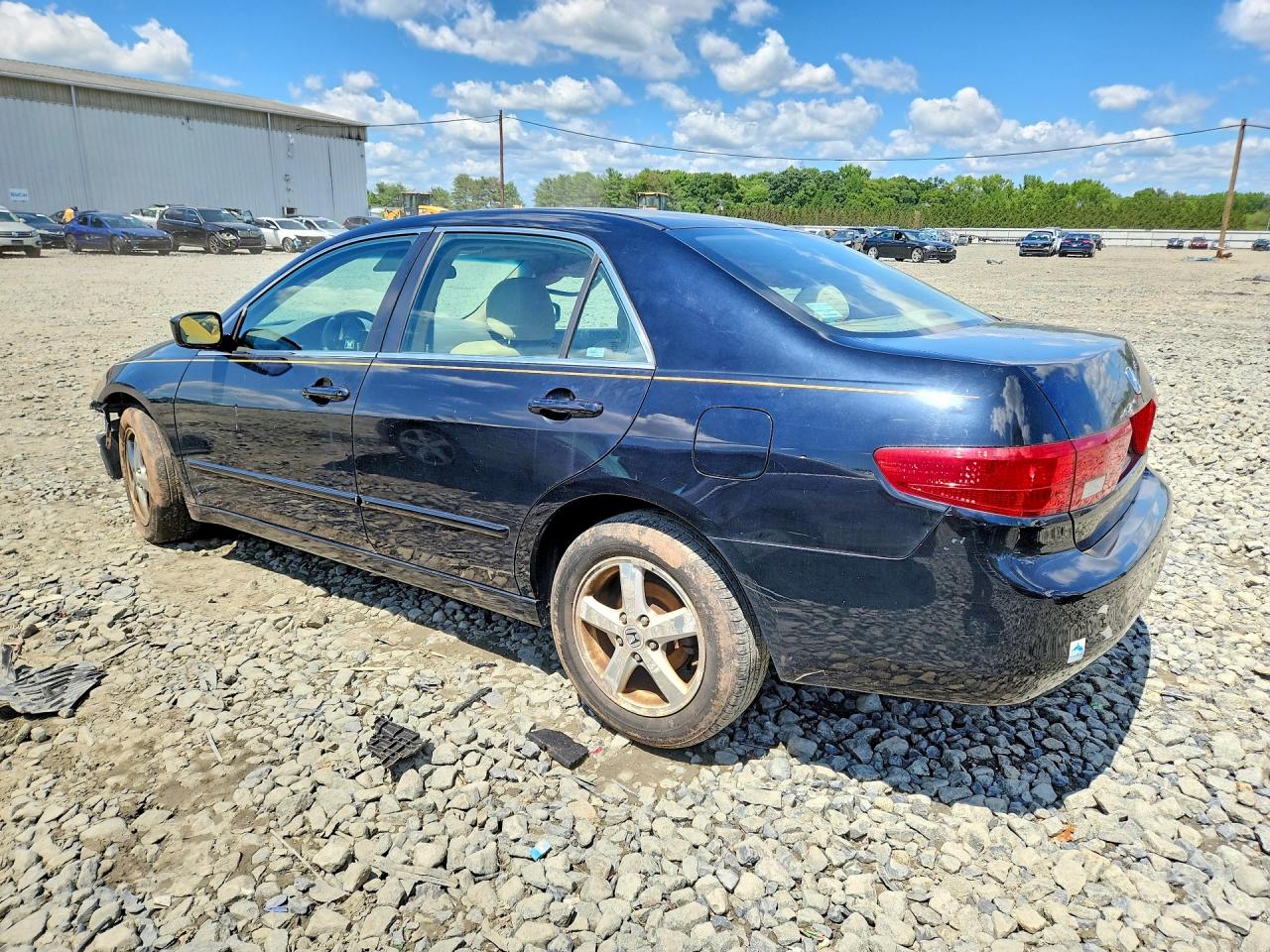 2005 Honda Accord Ex Black vin: 1HGCM56775A031820