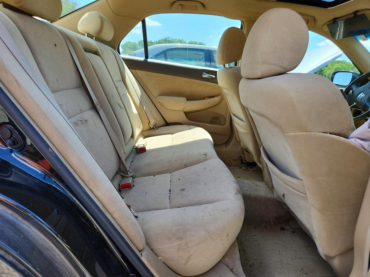 2005 Honda Accord Ex Black vin: 1HGCM56775A031820