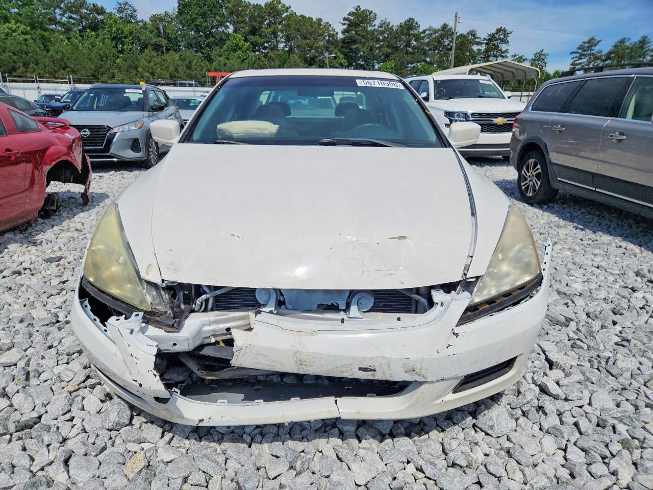 2006 Honda Accord Ex White vin: 1HGCM56796A153645