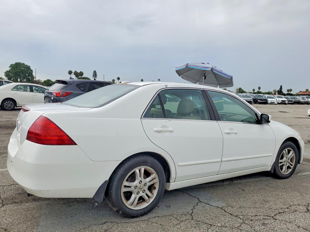 2007 Honda Accord Ex White vin: 1HGCM567X7A032530