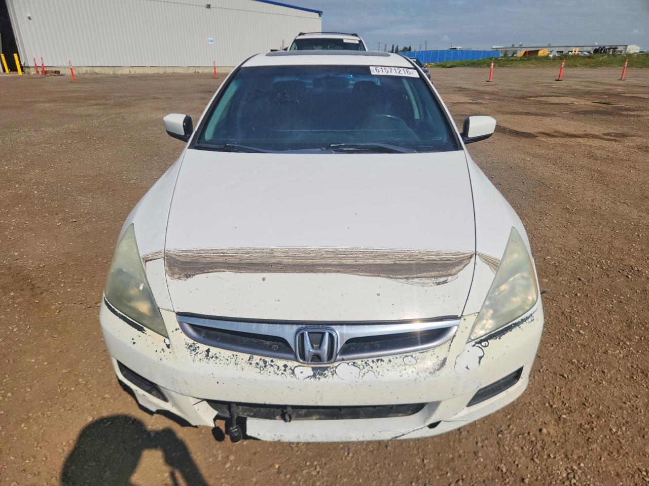 2007 Honda Accord Ex White vin: 1HGCM567X7A807909