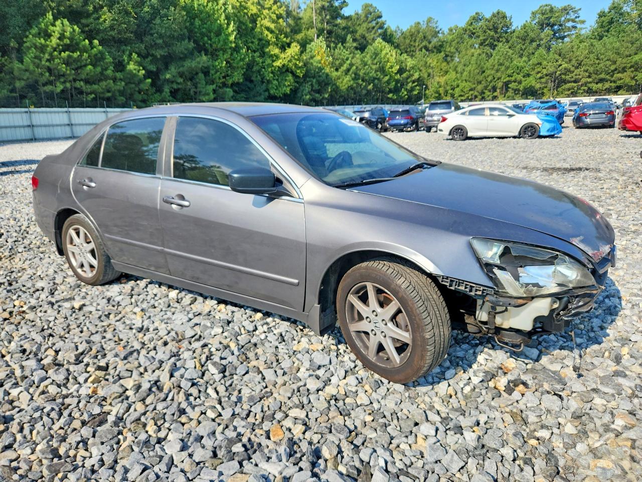 2005 Honda Accord Ex Gray vin: 1HGCM56805A071360