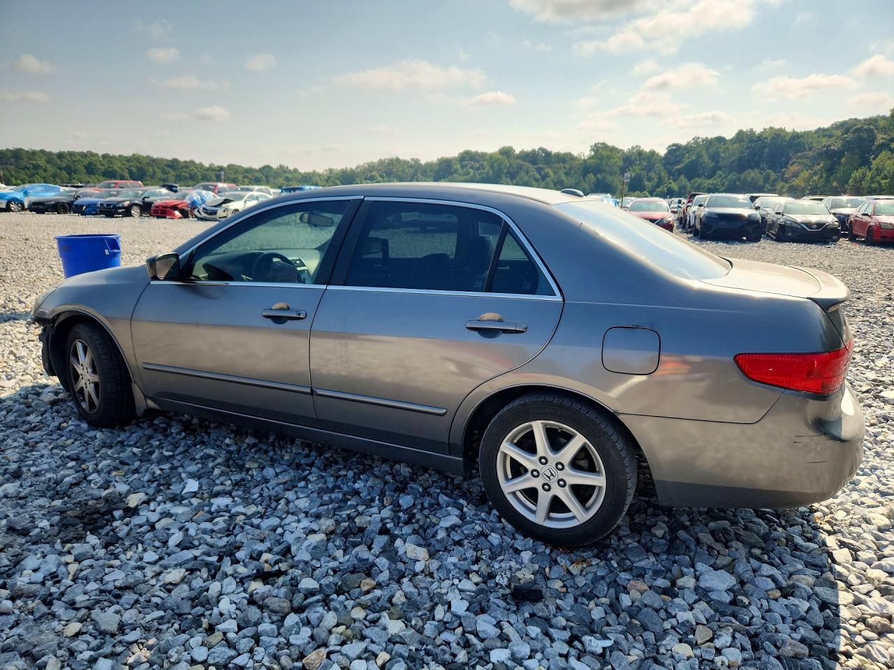 2005 Honda Accord Ex Gray vin: 1HGCM56805A071360