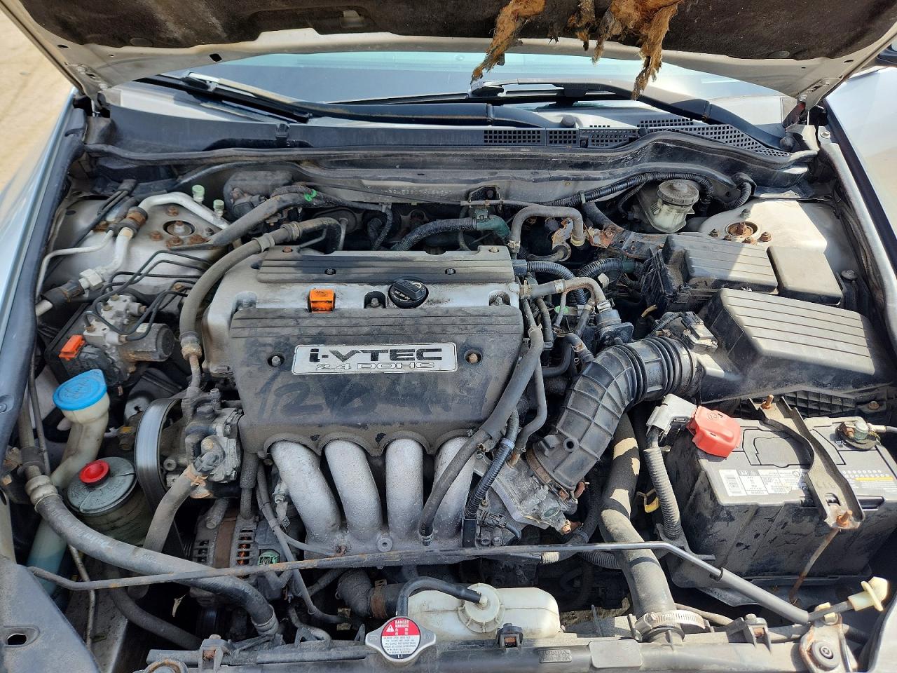 2007 Honda Accord Ex Серебряный vin: 1HGCM56807A059647