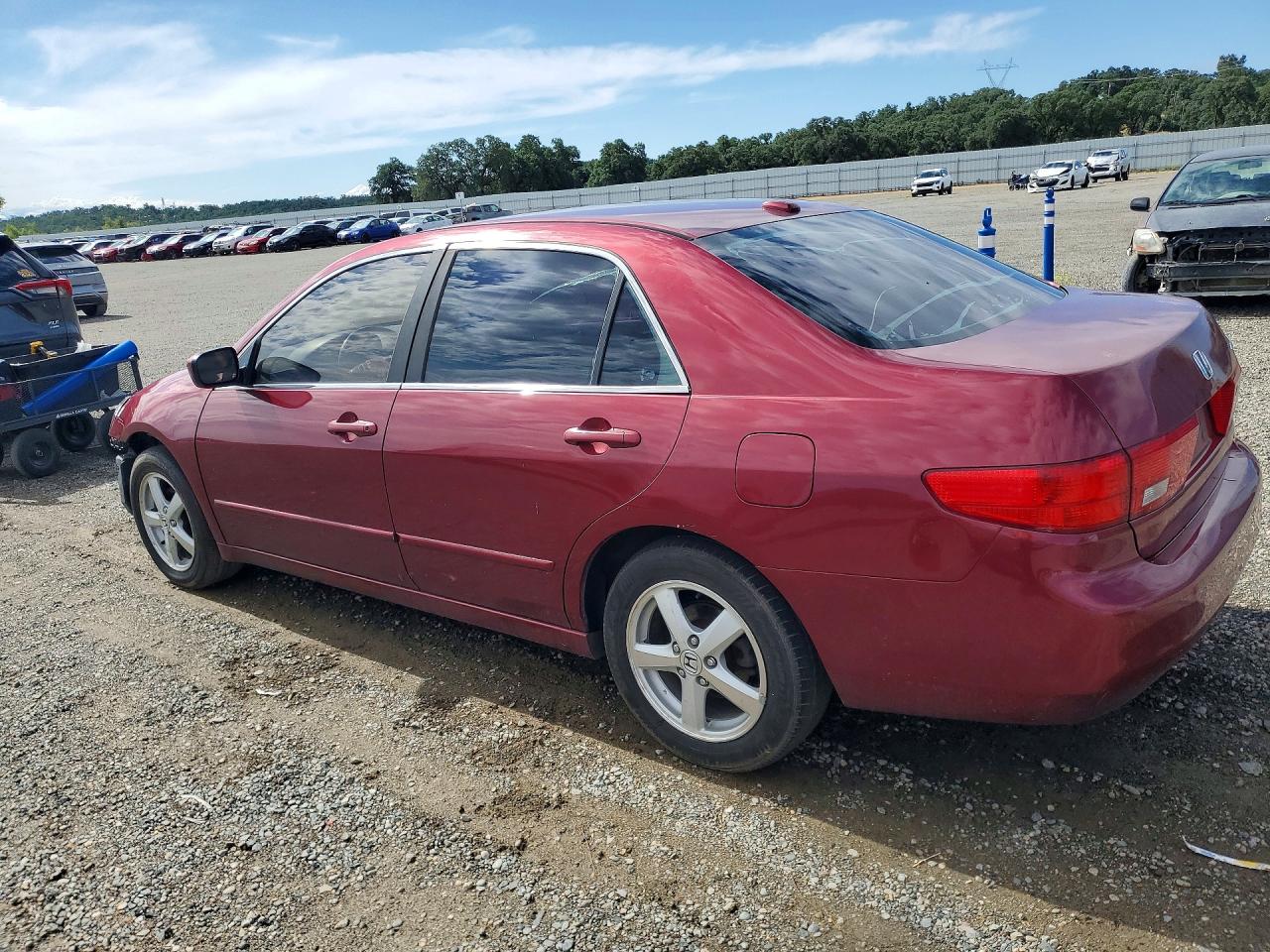 2005 Honda Accord Ex Бордовый vin: 1HGCM56825A186574