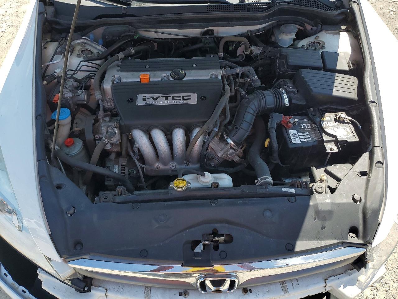 2006 Honda Accord Ex White vin: 1HGCM56826A011341