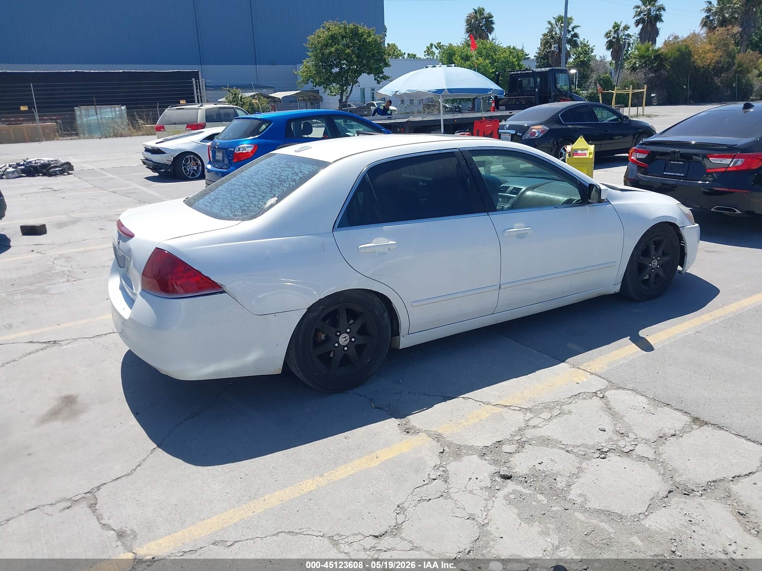 2006 Honda Accord 2.4 Ex White vin: 1HGCM56836A147252