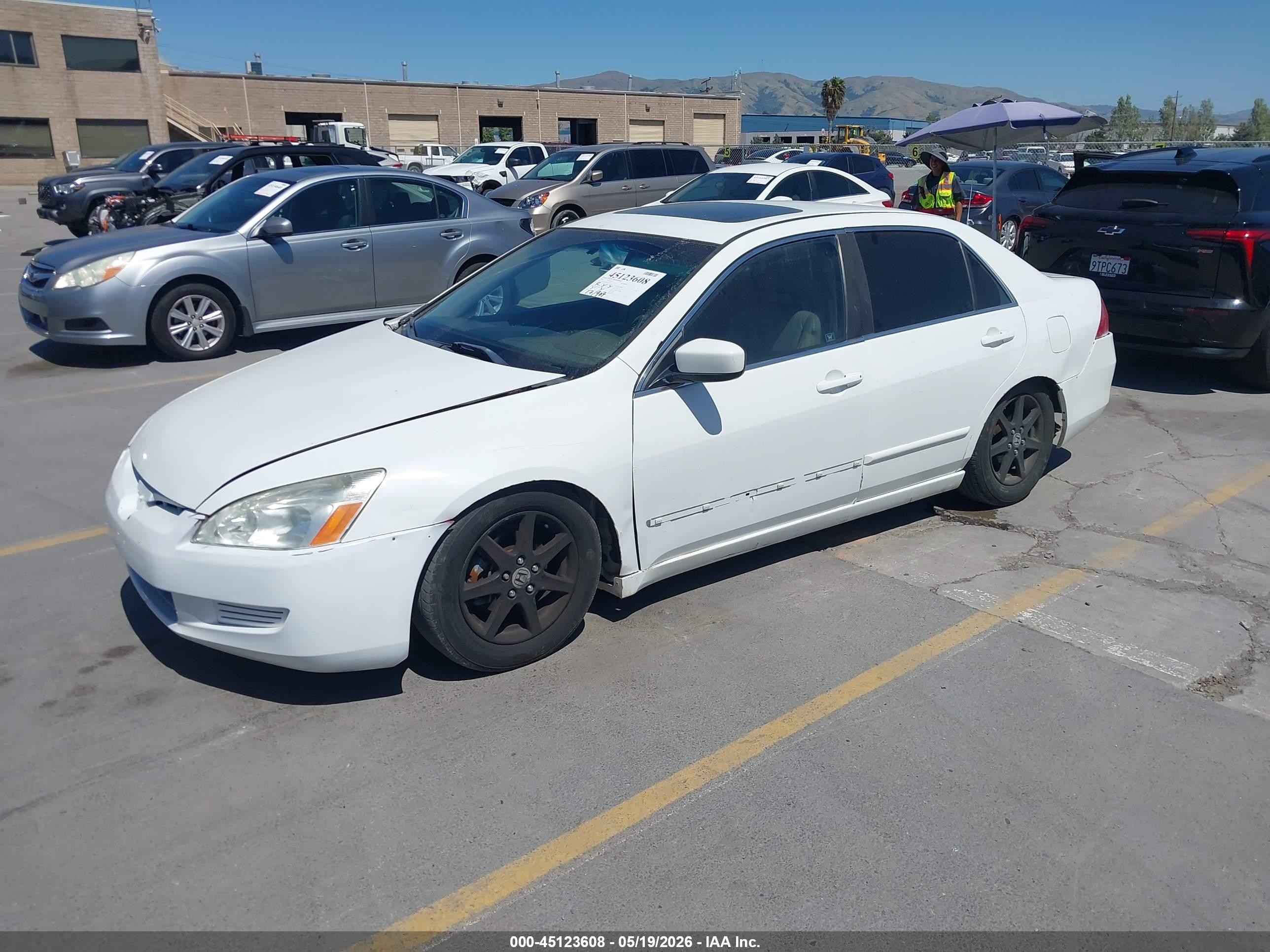 2006 Honda Accord 2.4 Ex White vin: 1HGCM56836A147252