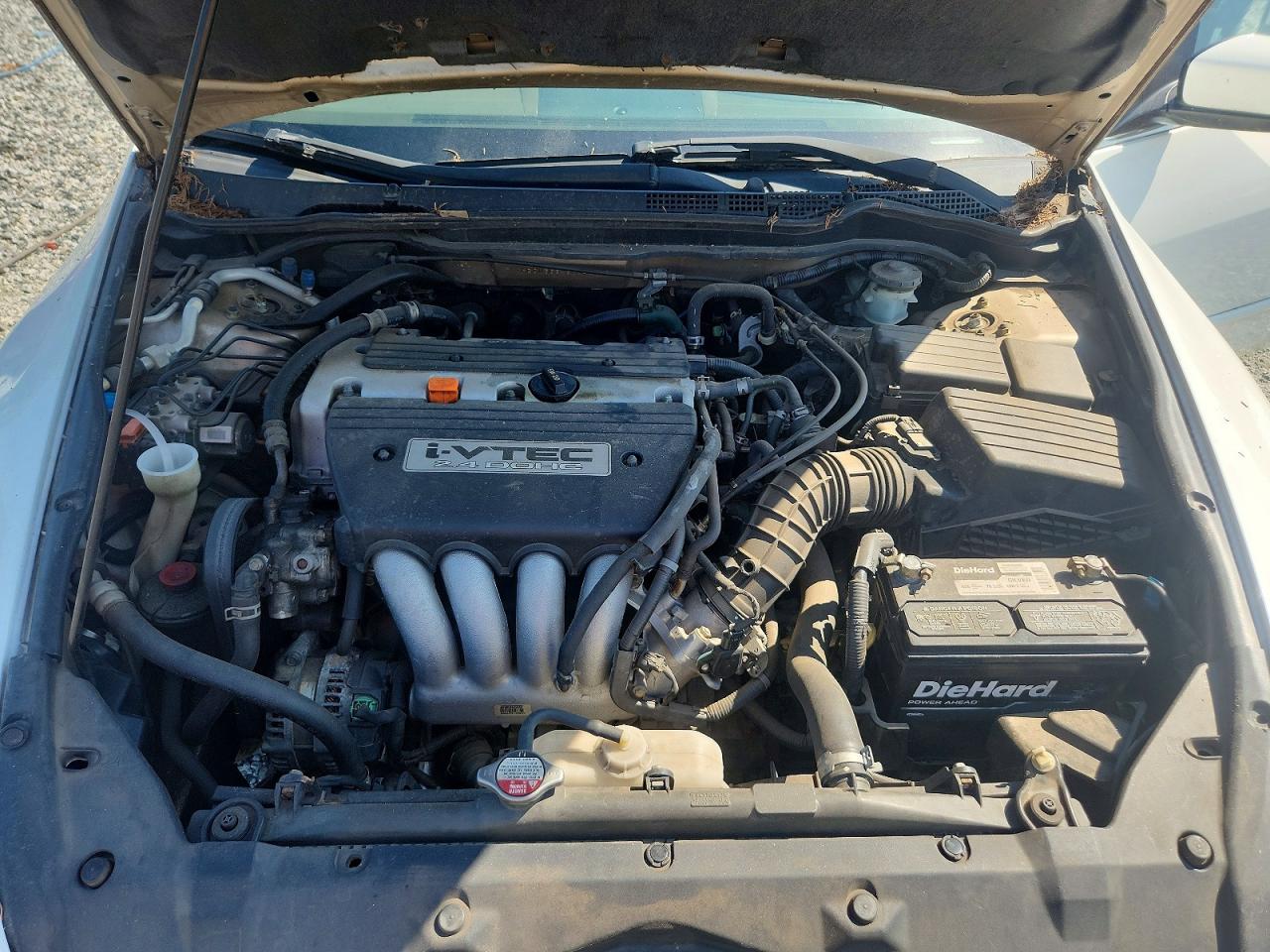 2005 Honda Accord Ex White vin: 1HGCM56845A044730