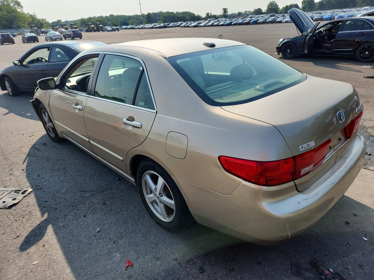 2005 Honda Accord Ex Tan vin: 1HGCM56845A173745