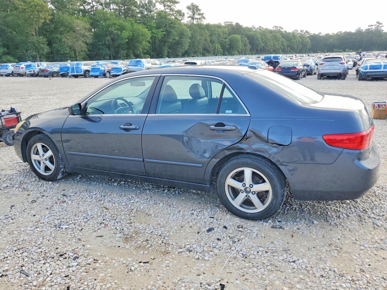 2005 Honda Accord Ex Серый vin: 1HGCM56855A024583