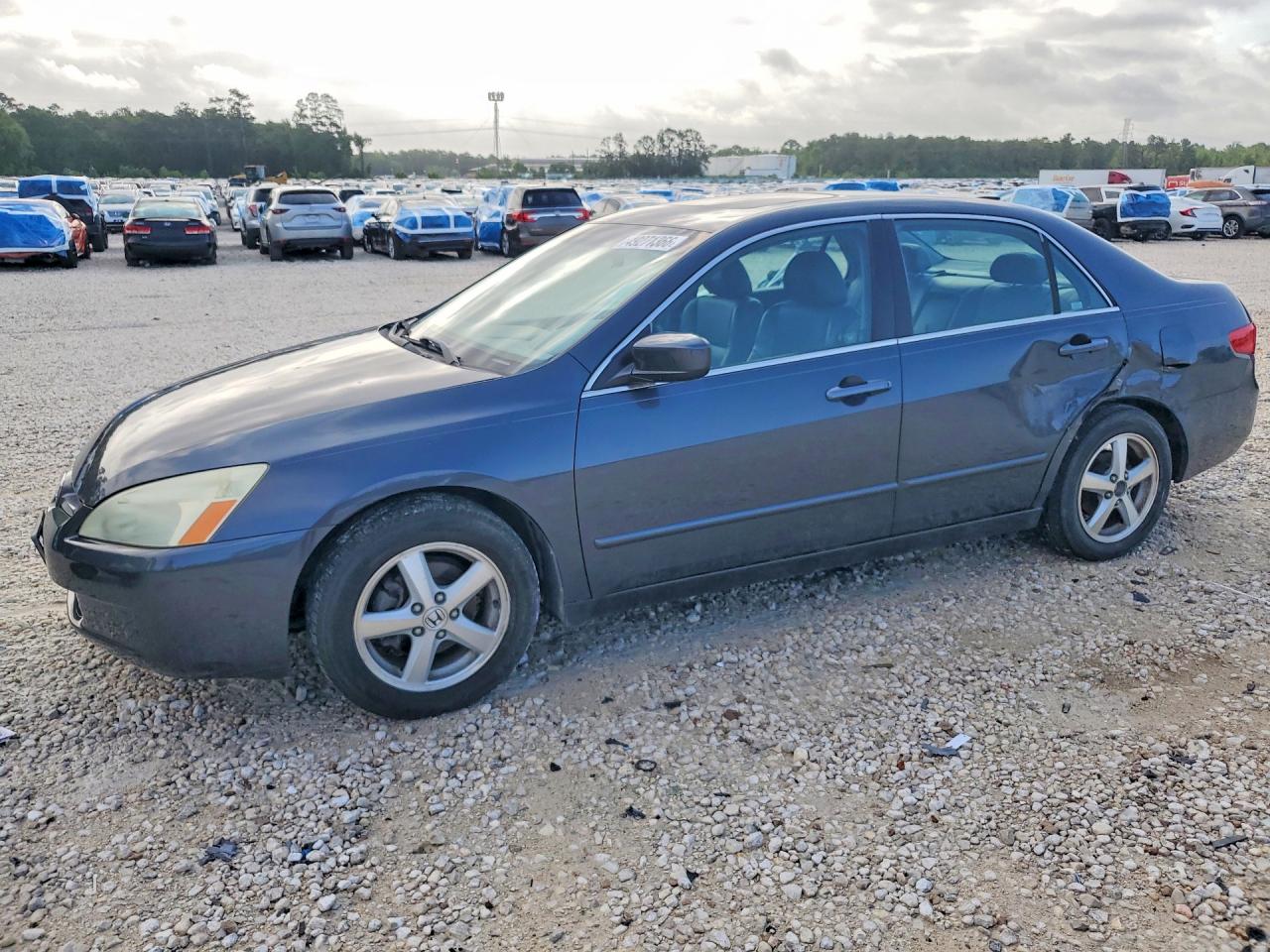 2005 Honda Accord Ex Серый vin: 1HGCM56855A024583