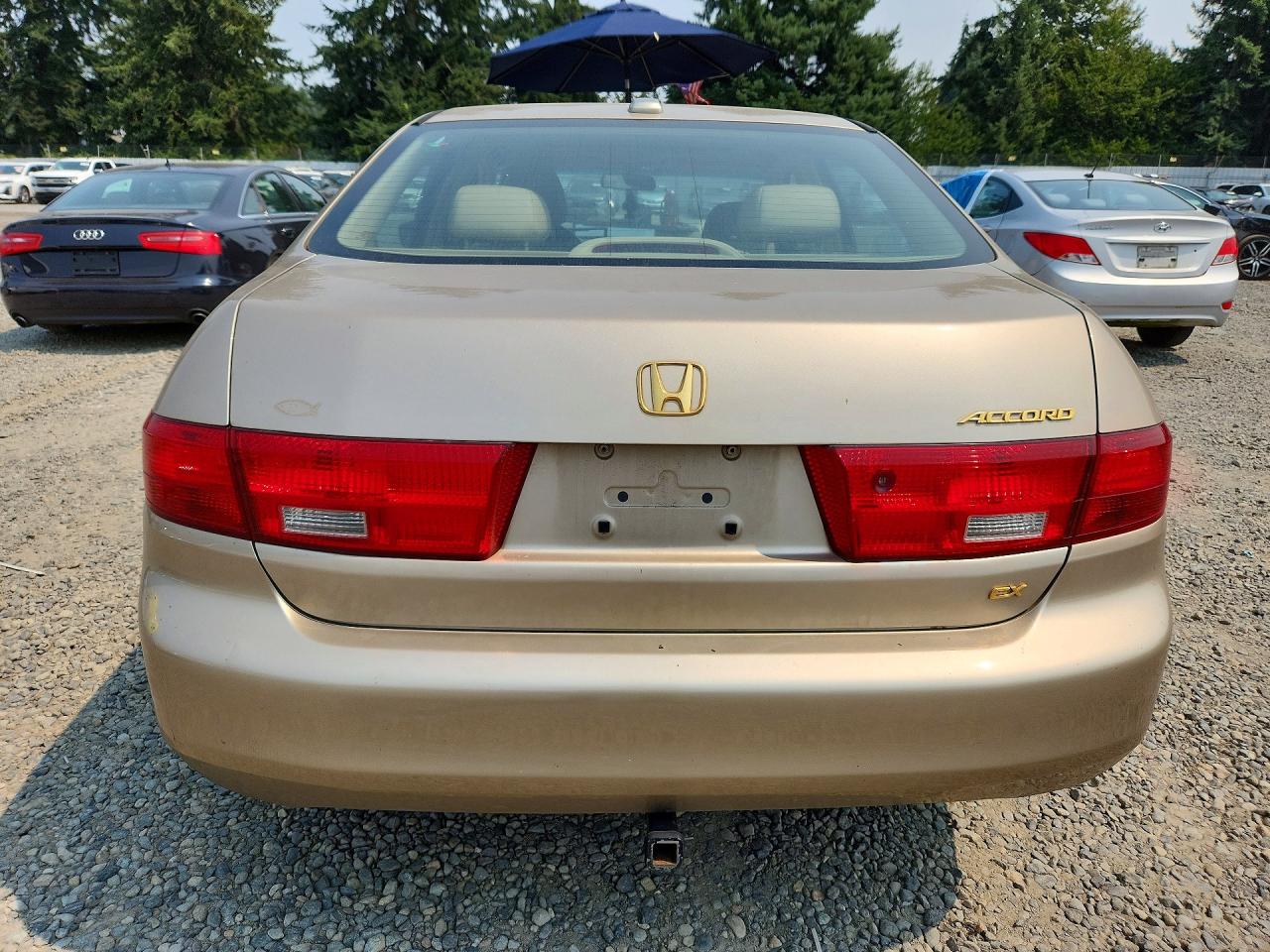 2005 Honda Accord Ex Gold vin: 1HGCM56855A038208
