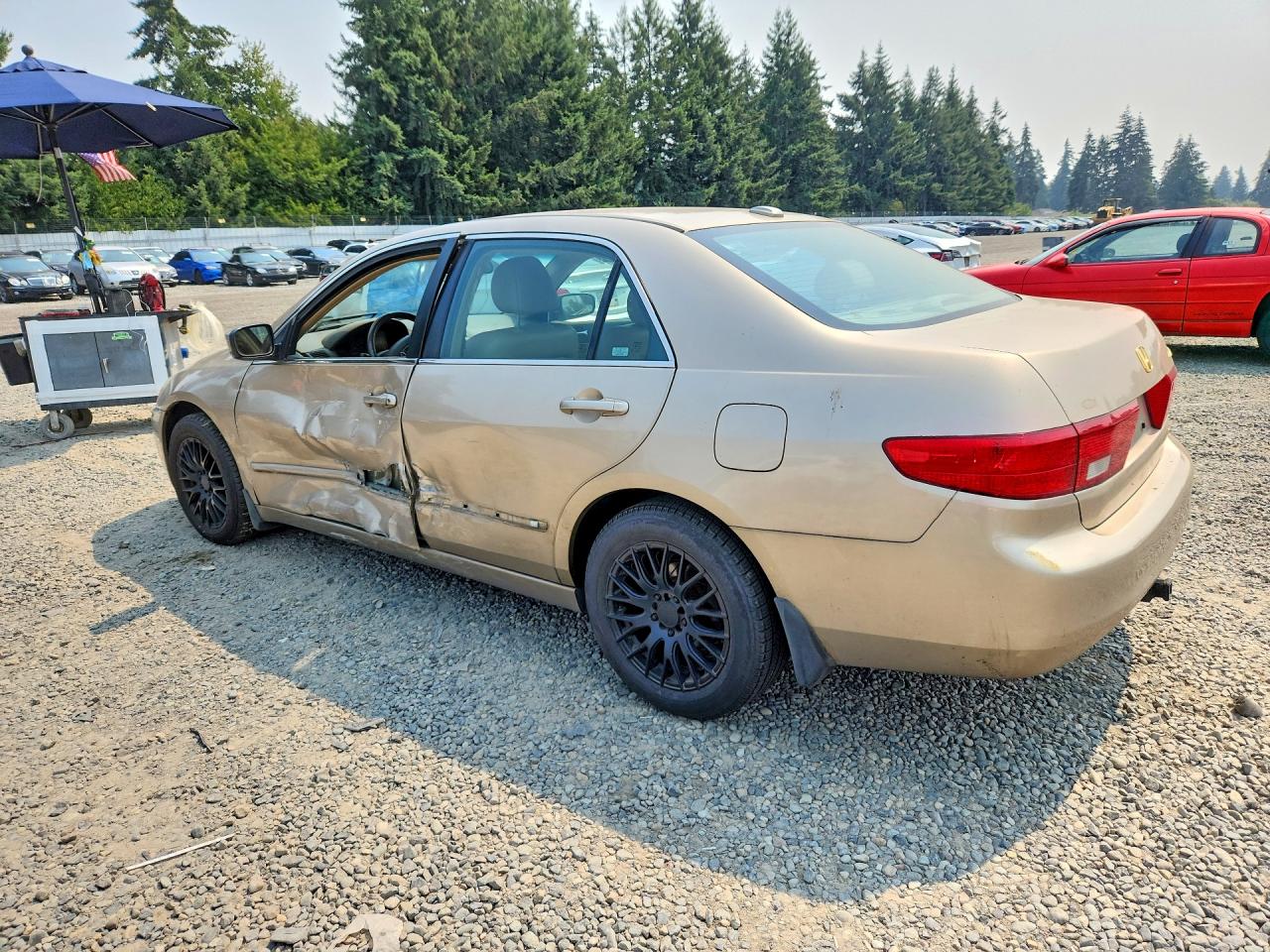 2005 Honda Accord Ex Gold vin: 1HGCM56855A038208