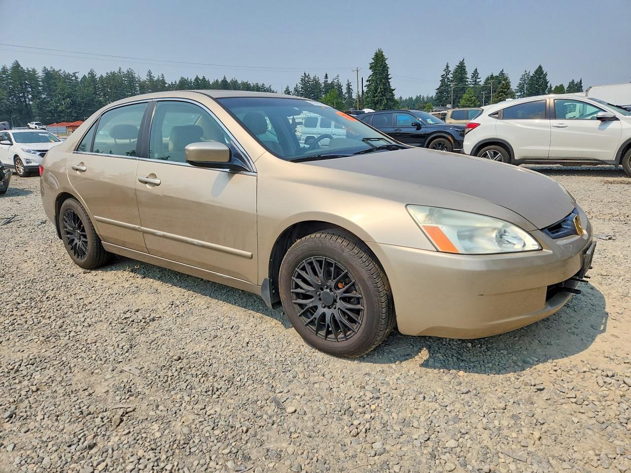 2005 Honda Accord Ex Gold vin: 1HGCM56855A038208