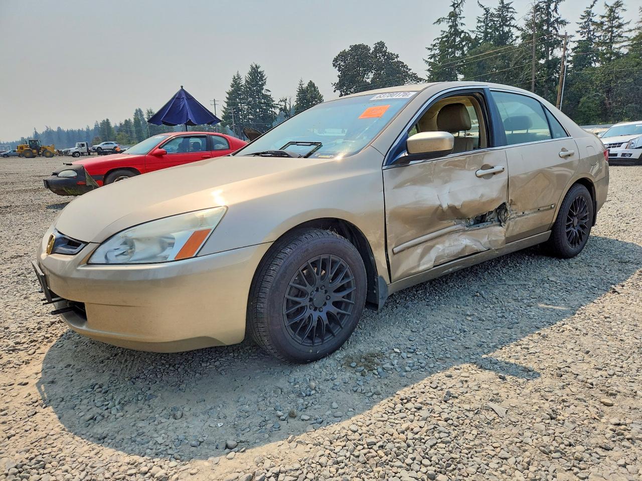 2005 Honda Accord Ex Gold vin: 1HGCM56855A038208