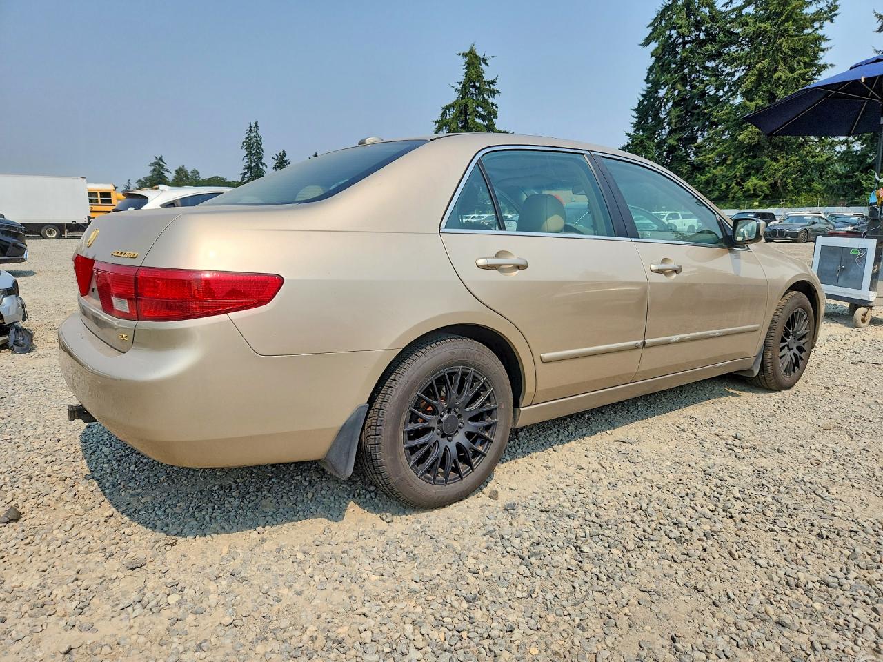 2005 Honda Accord Ex Gold vin: 1HGCM56855A038208