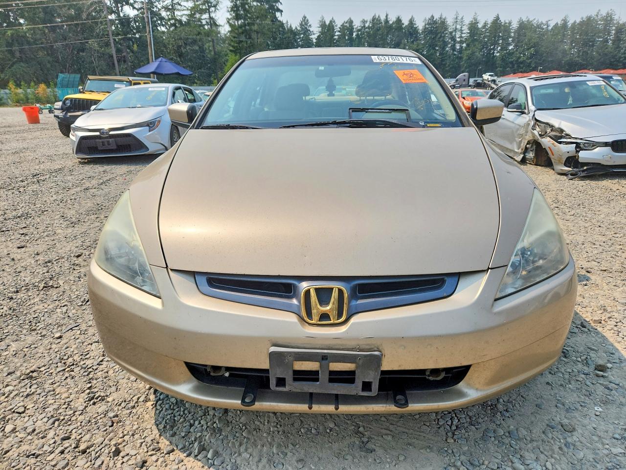 2005 Honda Accord Ex Gold vin: 1HGCM56855A038208