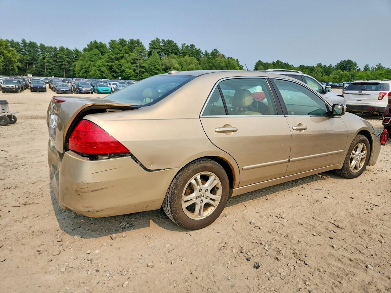 2006 Honda Accord Ex Gold vin: 1HGCM56856A043829
