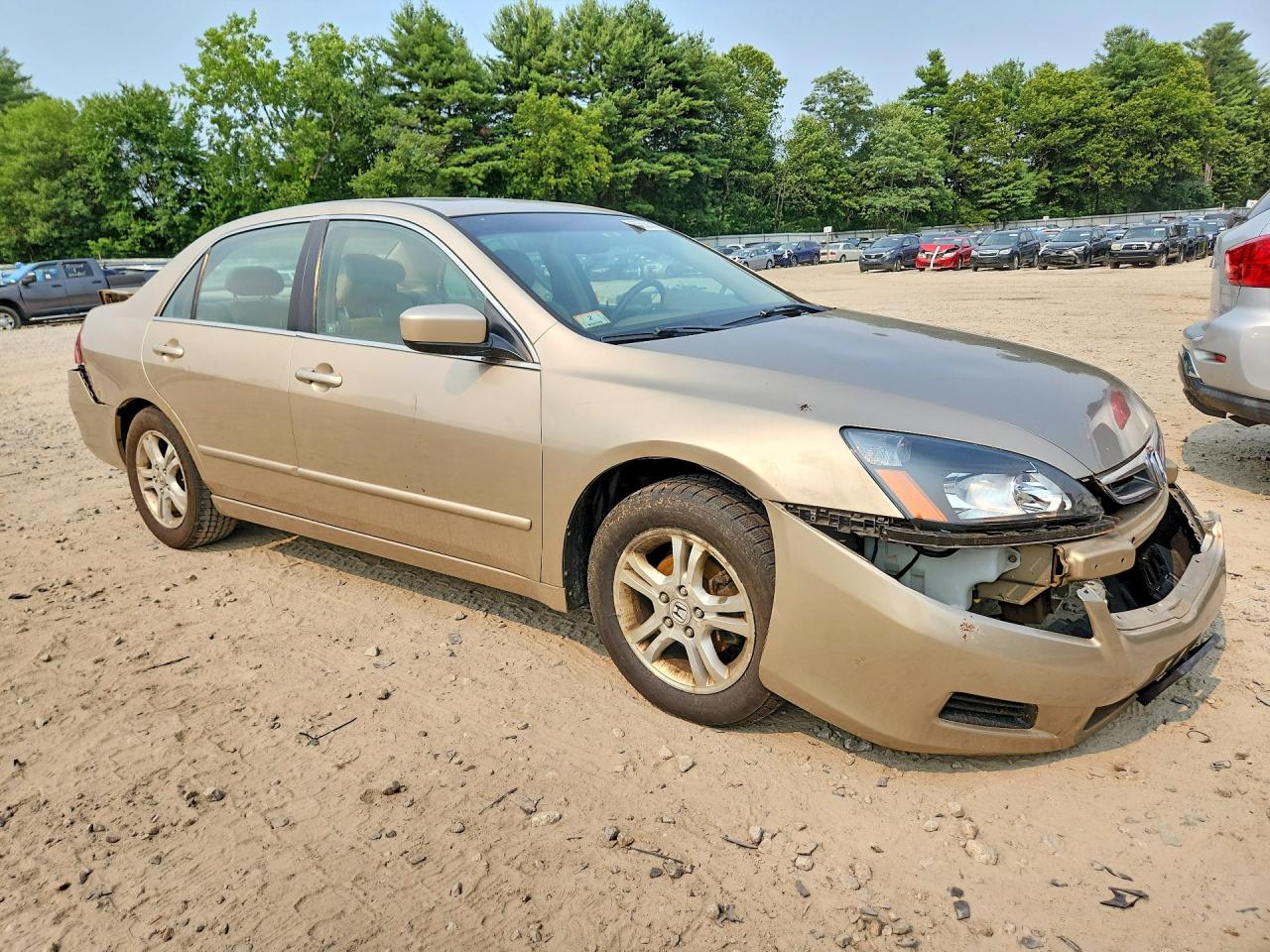 2006 Honda Accord Ex Gold vin: 1HGCM56856A043829