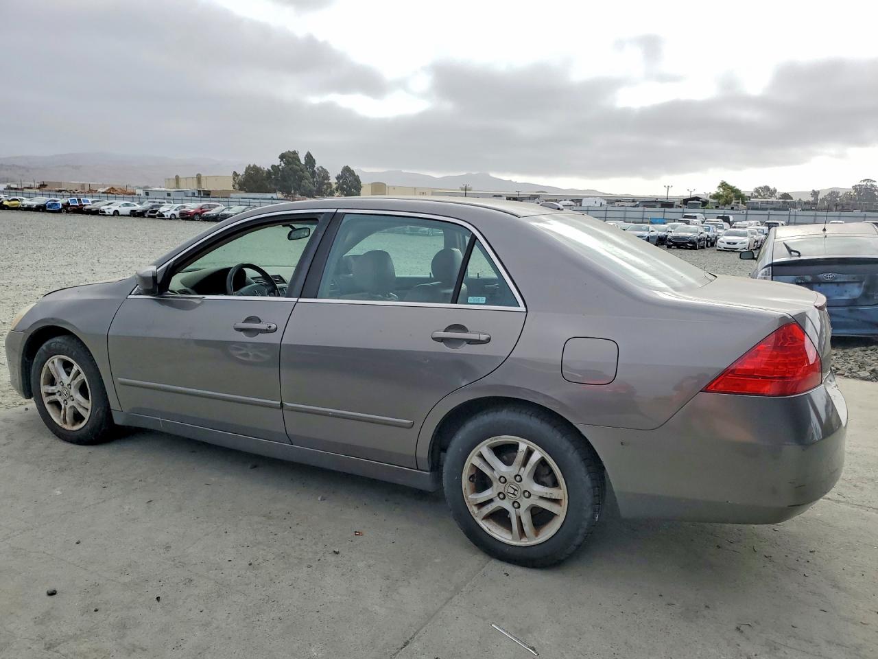 2006 Honda Accord Ex Gray vin: 1HGCM56856A092559