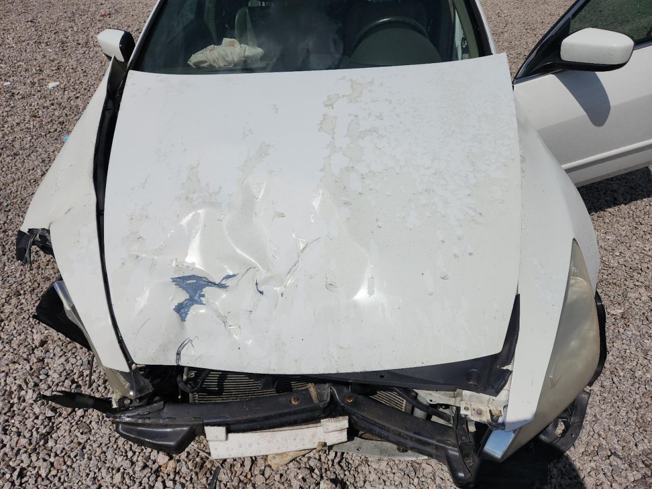 2006 Honda Accord Ex White vin: 1HGCM56856A119436