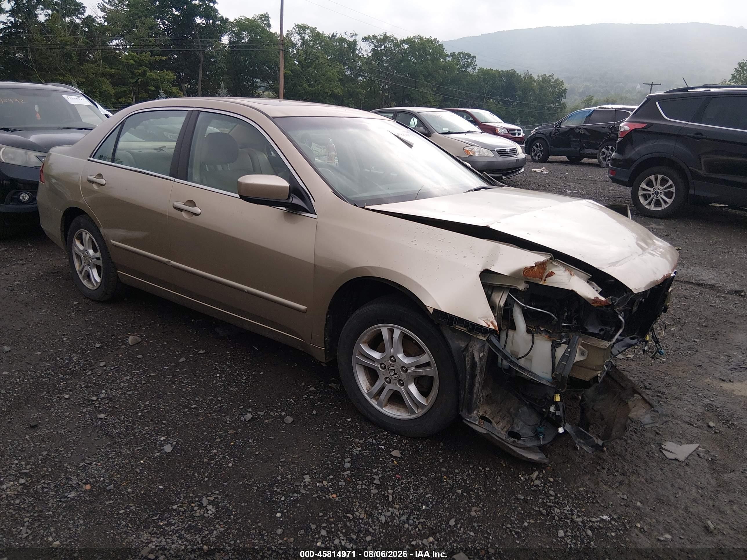 2006 Honda Accord 2.4 Ex Gold vin: 1HGCM56856A136463