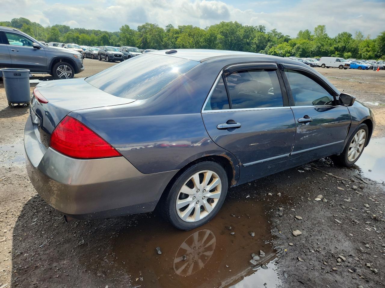 2007 Honda Accord Ex Gray vin: 1HGCM56857A076511