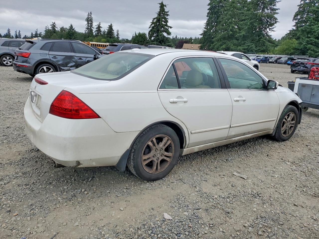 2007 Honda Accord Ex White vin: 1HGCM56857A098623