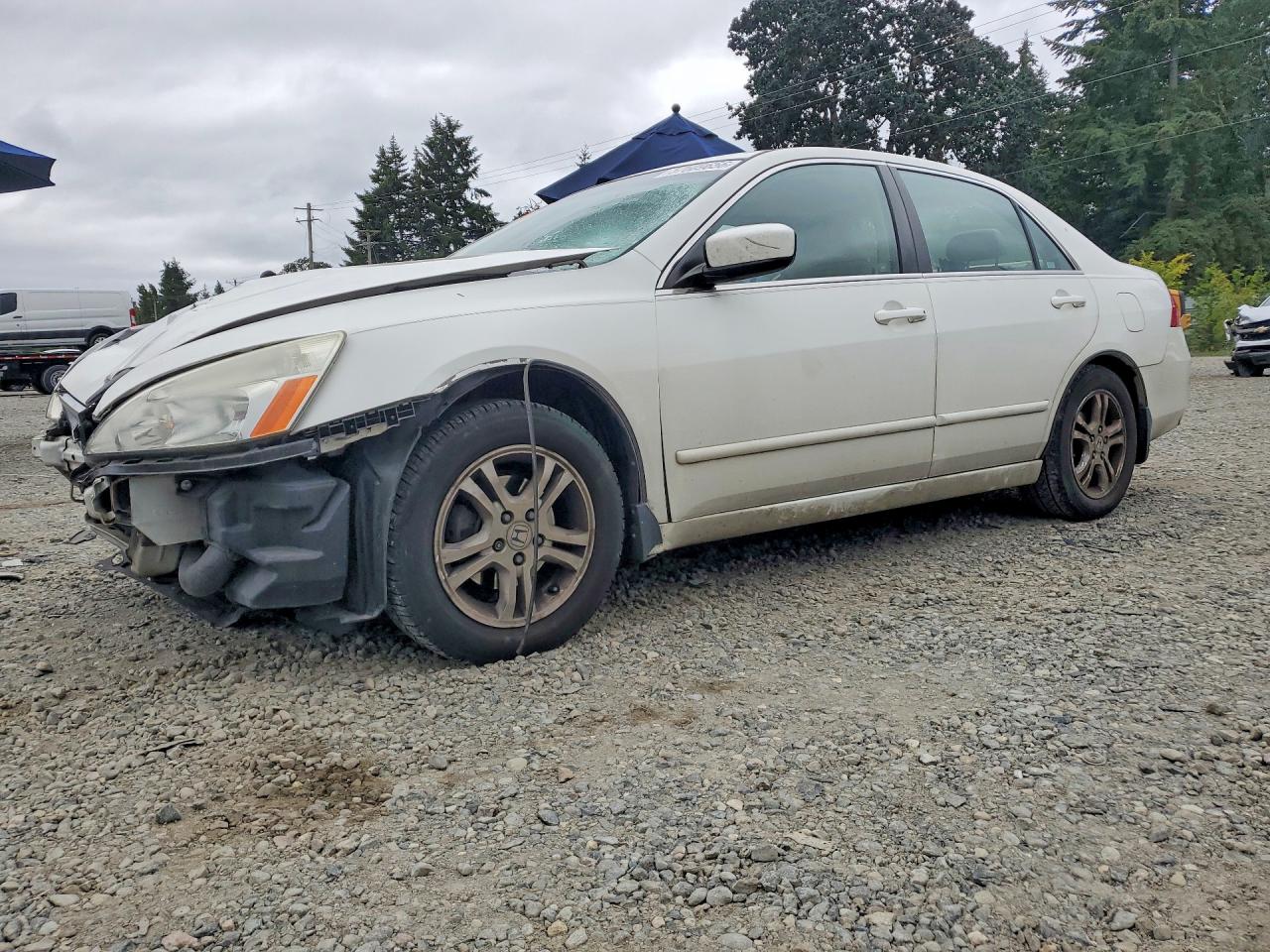 2007 Honda Accord Ex White vin: 1HGCM56857A098623