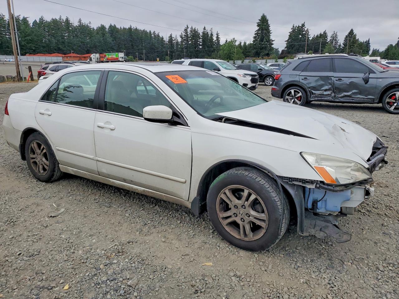2007 Honda Accord Ex White vin: 1HGCM56857A098623