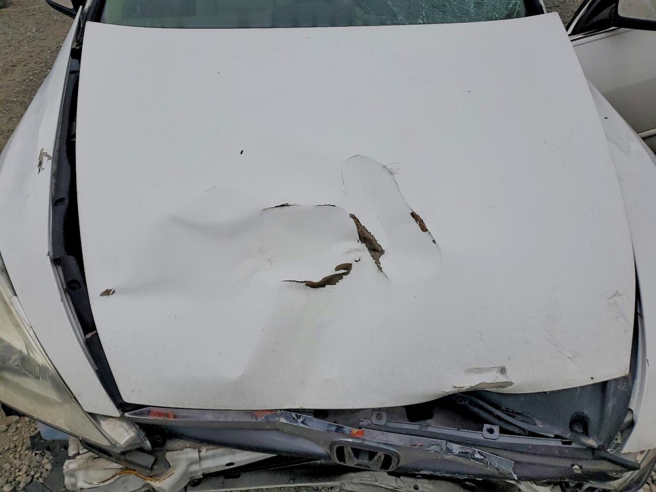 2007 Honda Accord Ex White vin: 1HGCM56857A098623