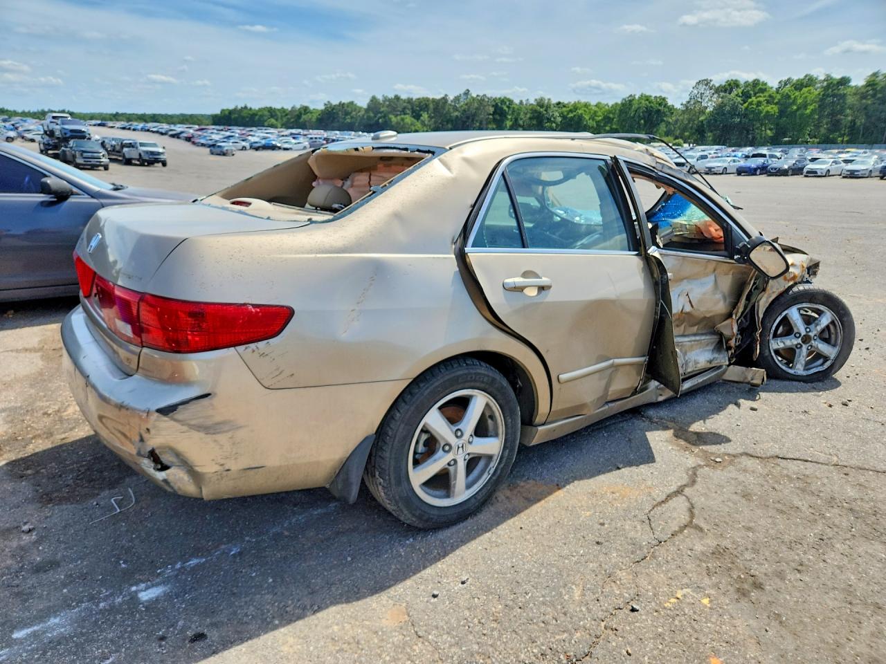 2005 Honda Accord Ex Gold vin: 1HGCM56875A173335