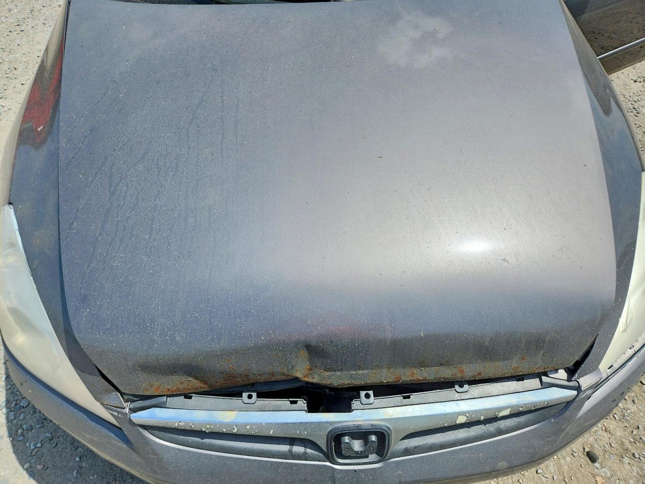 2006 Honda Accord Ex Gray vin: 1HGCM56876A171649