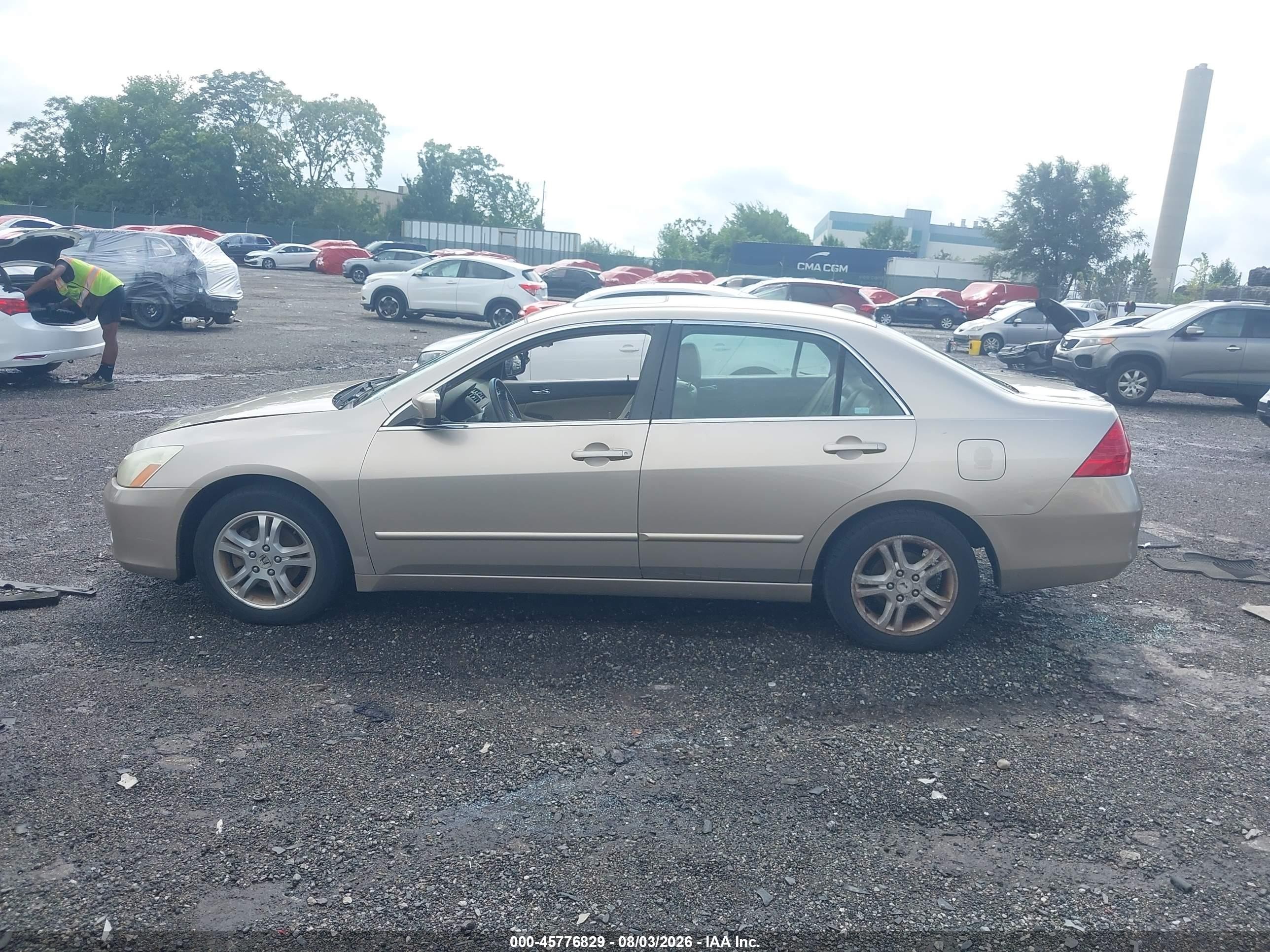 2006 Honda Accord 2.4 Ex Желто-коричневый vin: 1HGCM56886A074413