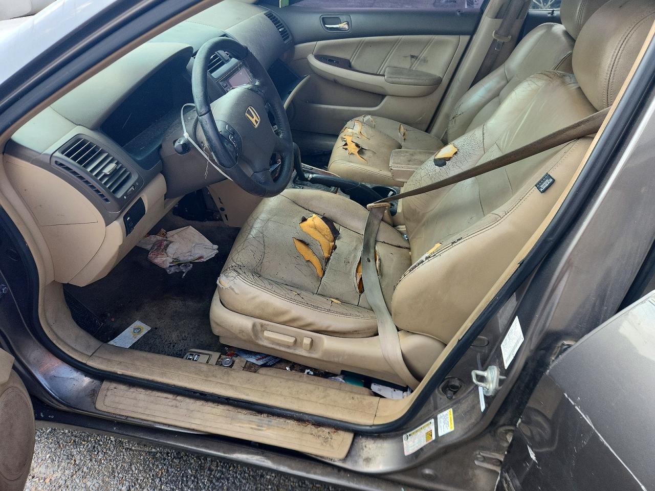 2006 Honda Accord Ex Charcoal vin: 1HGCM56886A084682