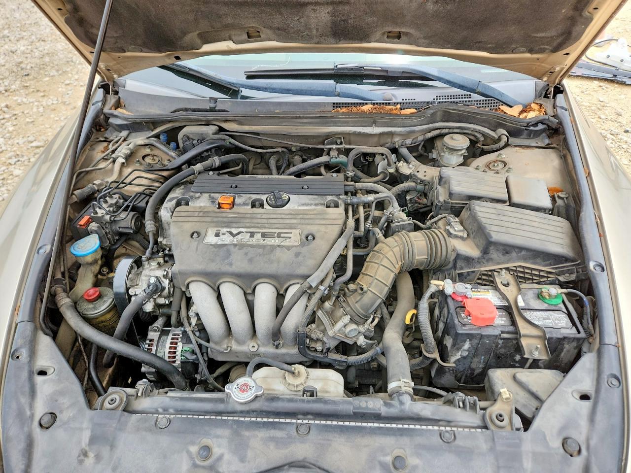 2006 Honda Accord Ex Gold vin: 1HGCM56886A134223