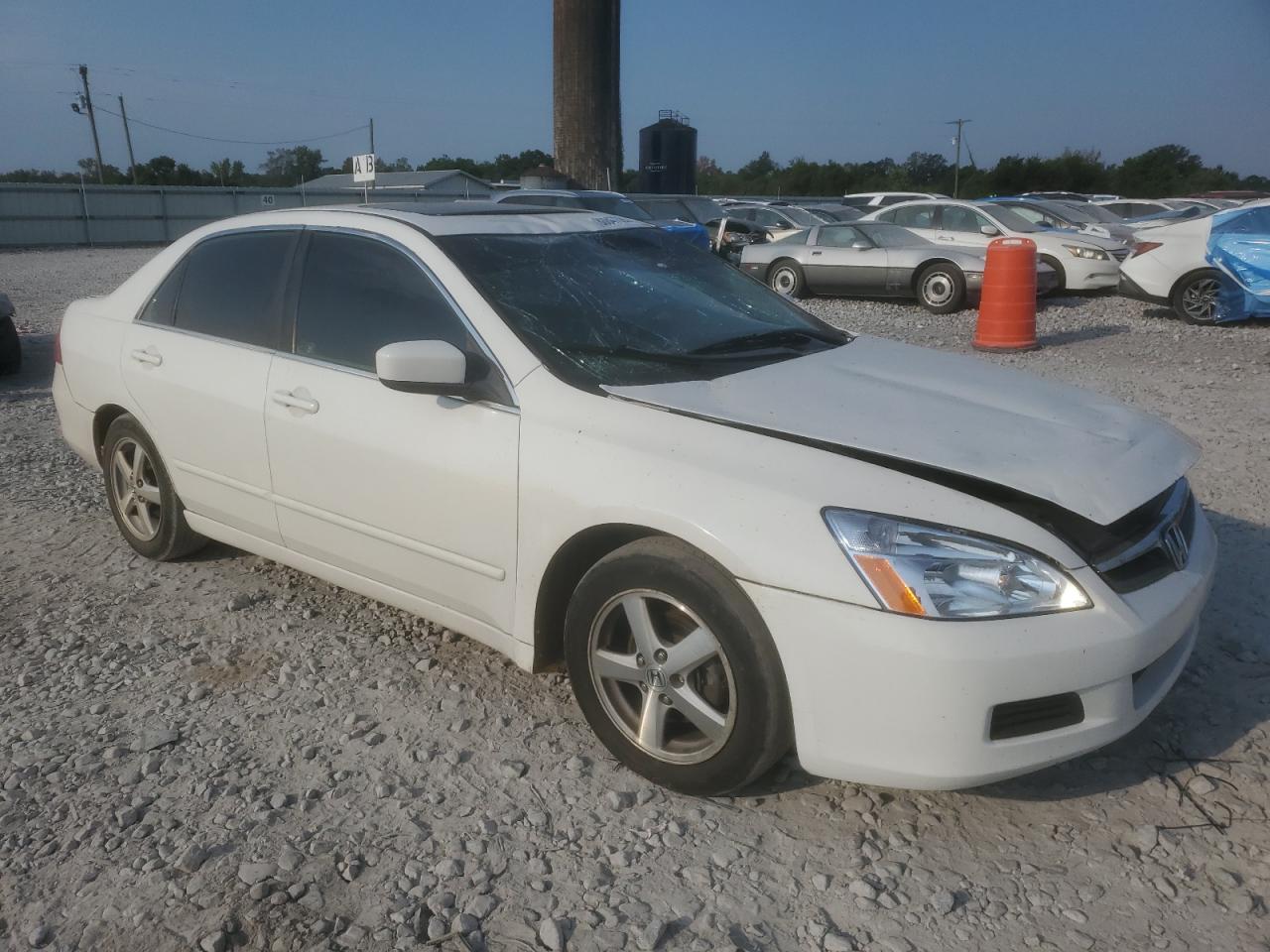 2006 Honda Accord Ex Белый vin: 1HGCM56886A167755