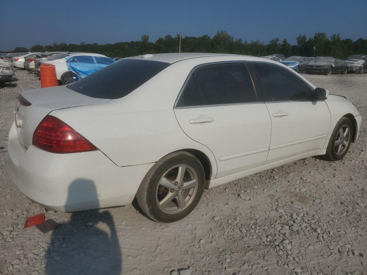 2006 Honda Accord Ex Белый vin: 1HGCM56886A167755