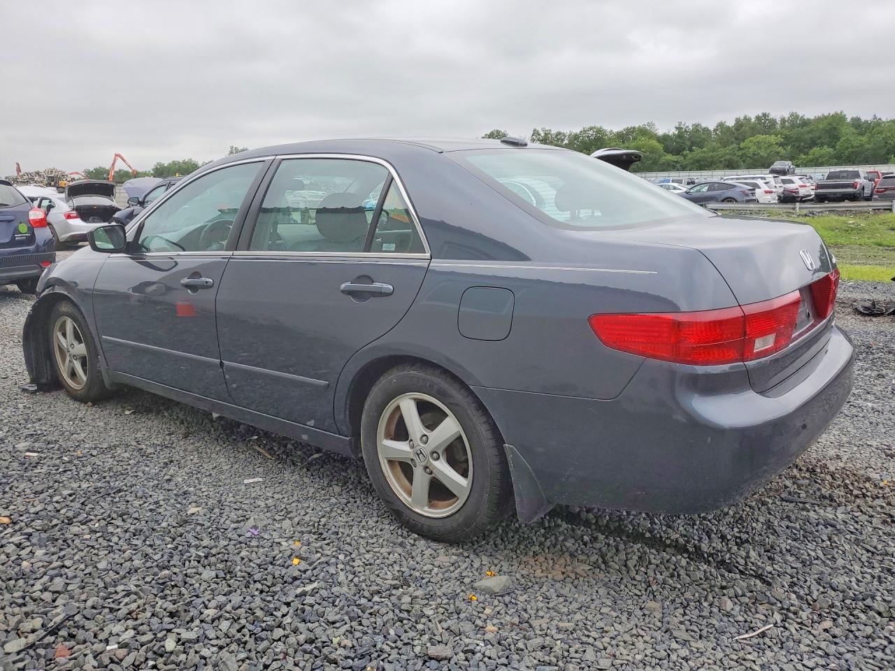 2005 Honda Accord Ex Gray vin: 1HGCM568X5A187357