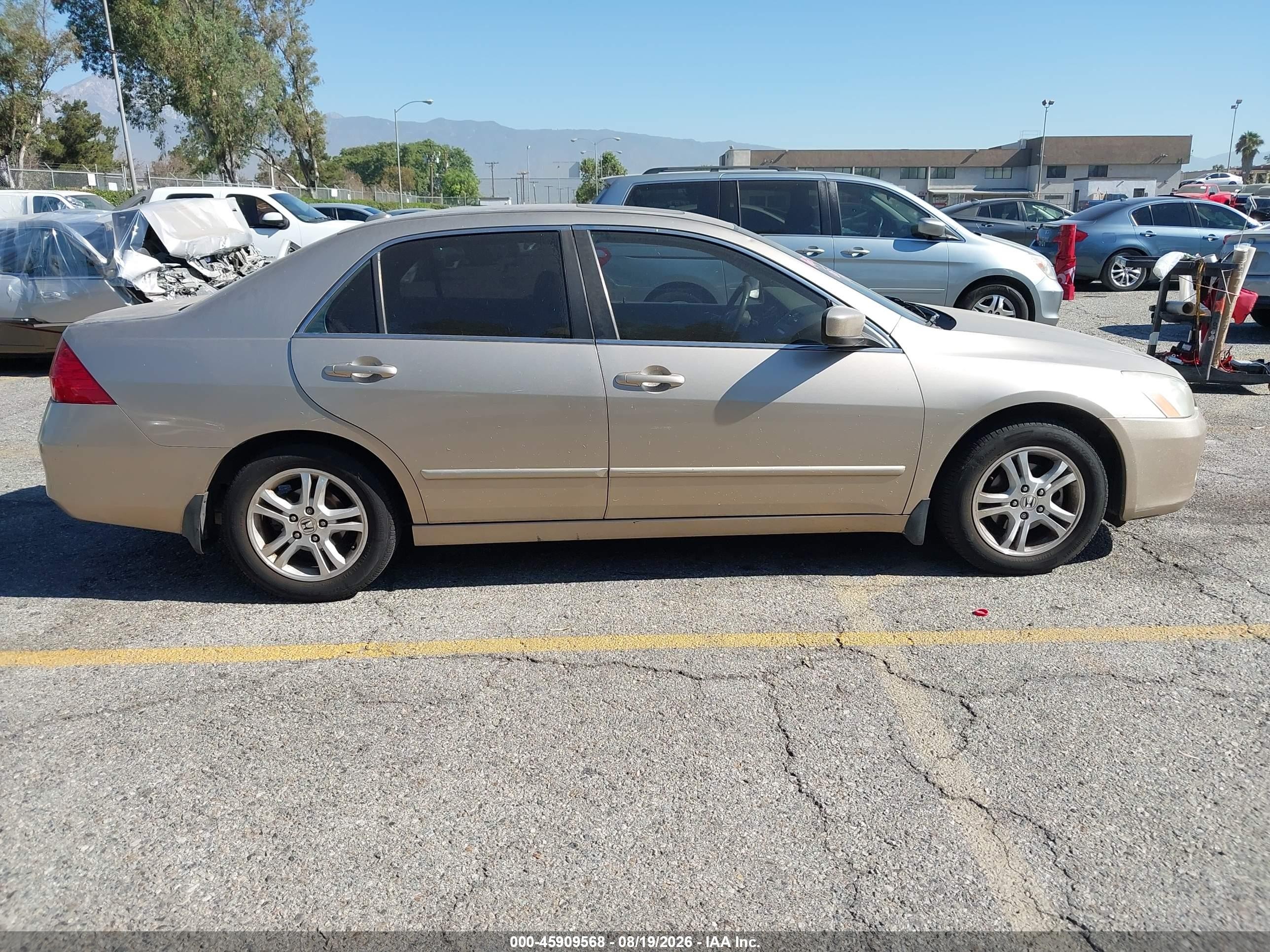 2006 Honda Accord 2.4 Ex Beige vin: 1HGCM568X6A080942