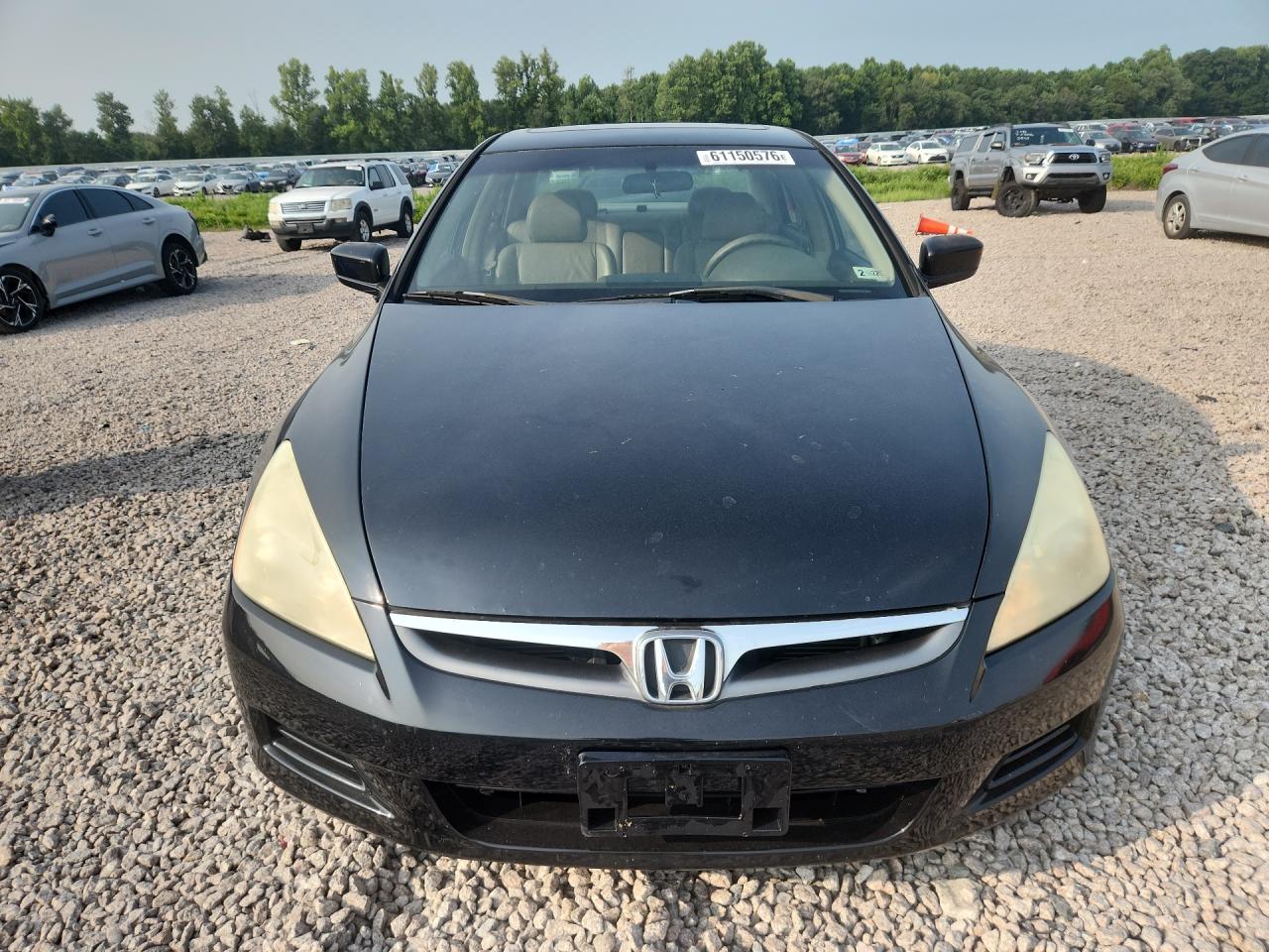 2006 Honda Accord Ex Black vin: 1HGCM568X6A109338