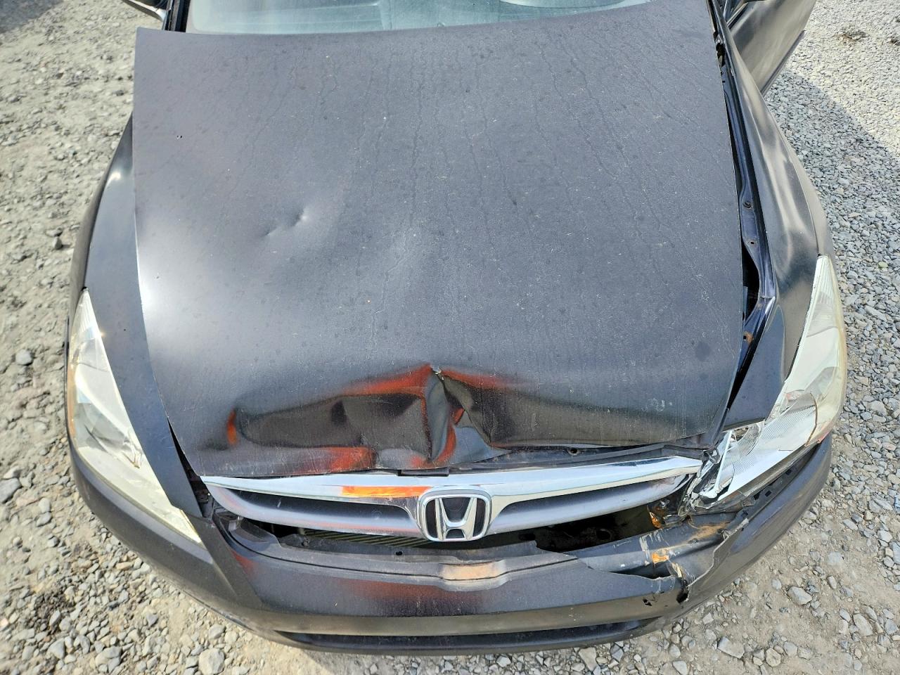 2007 Honda Accord Ex Black vin: 1HGCM568X7A076729