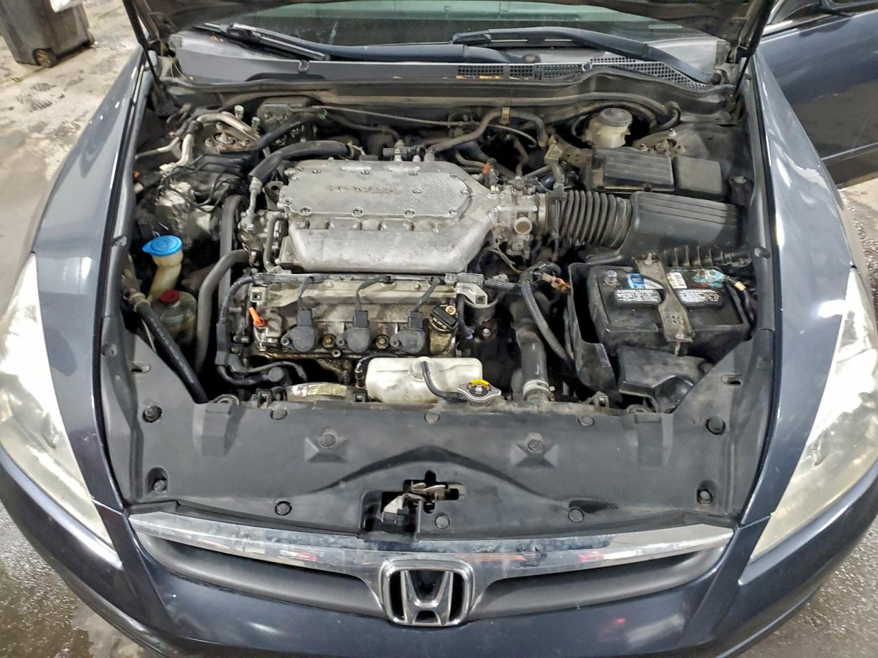 2006 Honda Accord Lx Gray vin: 1HGCM66316A071542