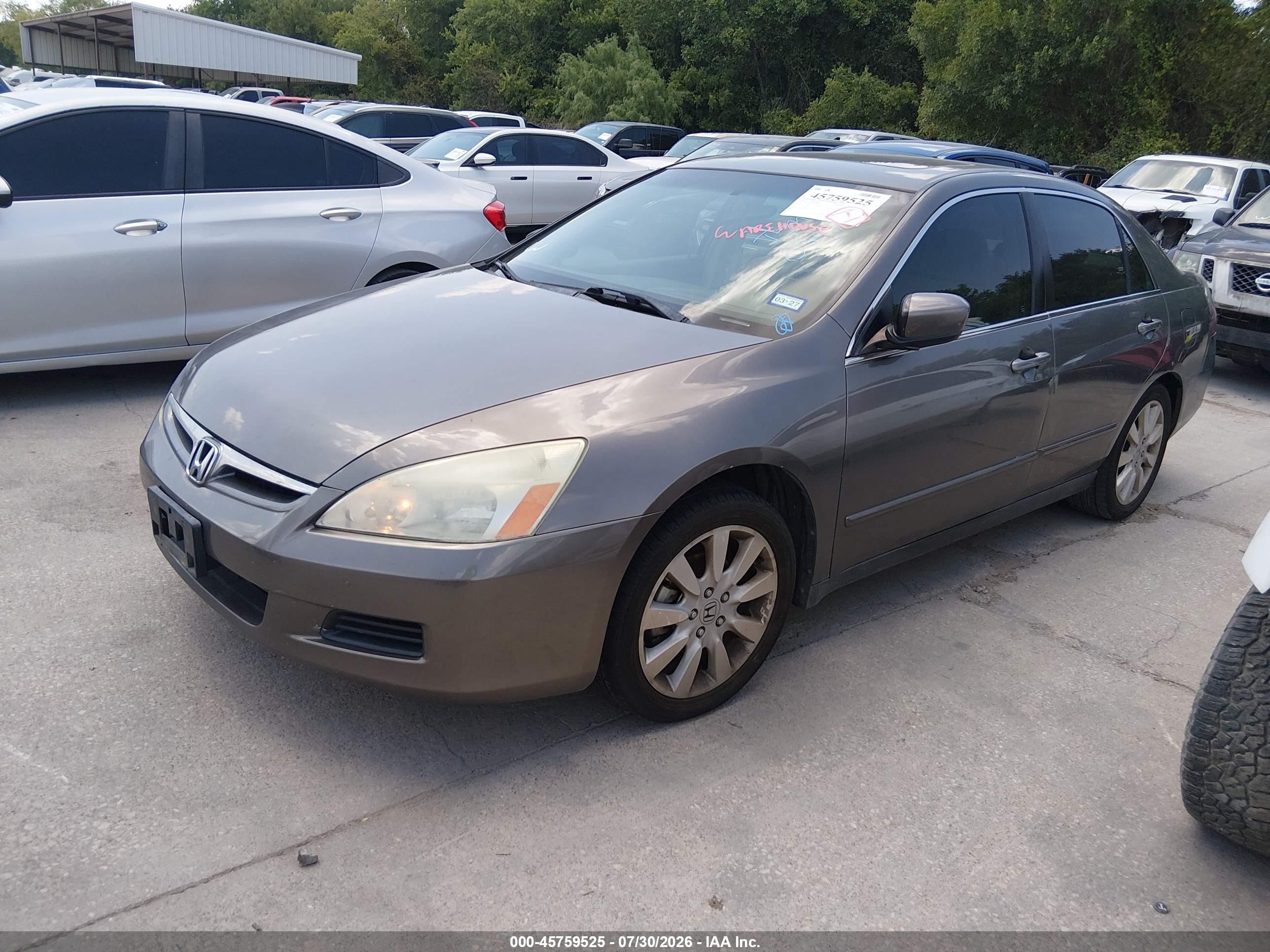 2007 Honda Accord 3.0 Lx Gray vin: 1HGCM66327A034999