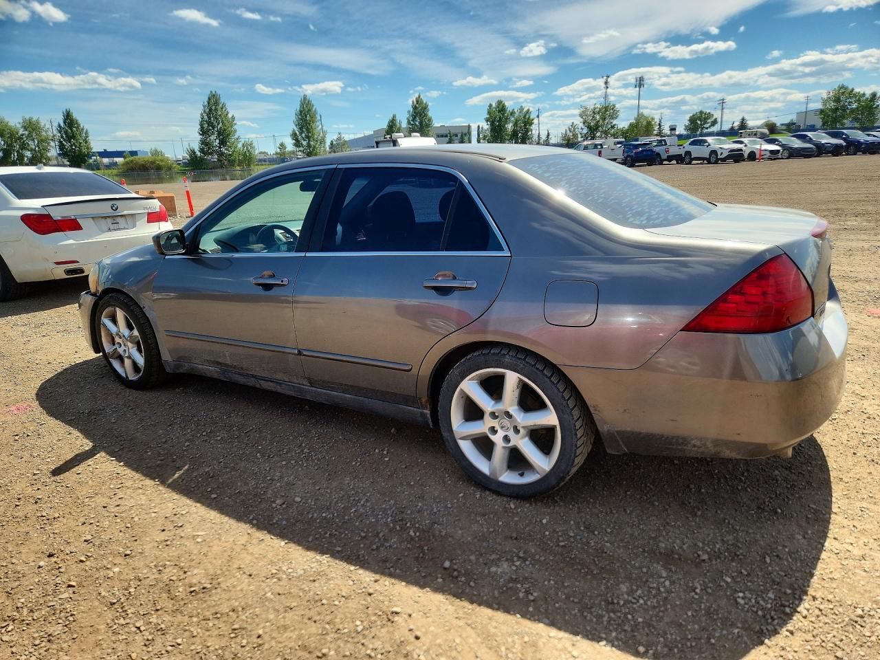2006 Honda Accord Lx Gray vin: 1HGCM66356A801341