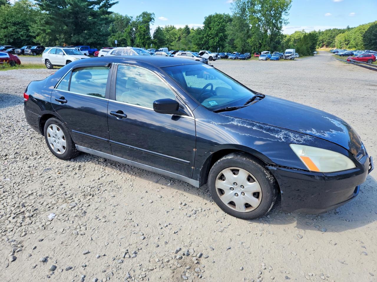 2004 Honda Accord Lx Black vin: 1HGCM66364A070898