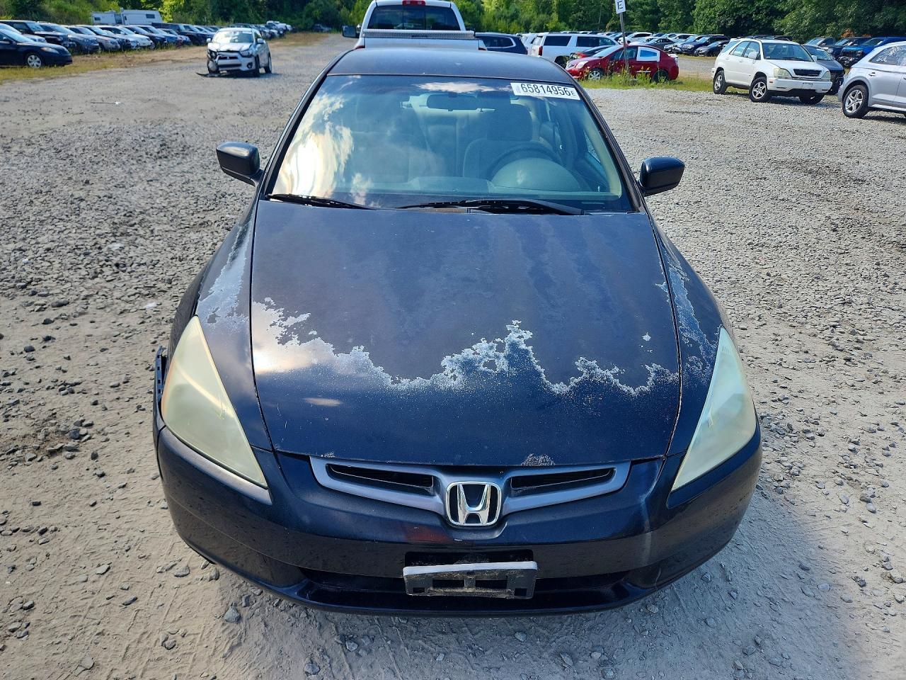 2004 Honda Accord Lx Black vin: 1HGCM66364A070898